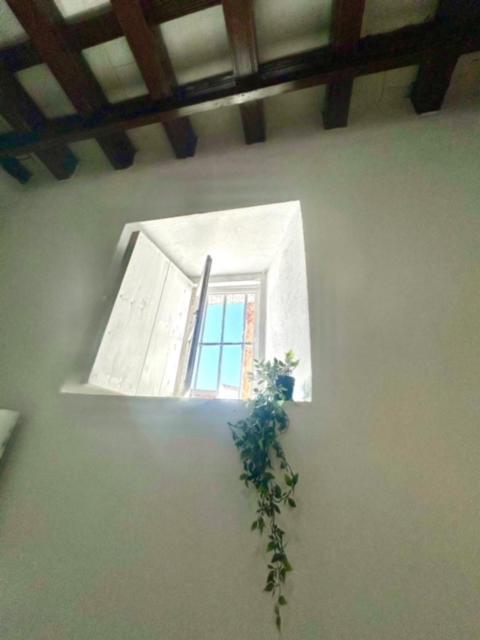 Gatu Casa Solera, Un Lugar Unico, "Preferente Para Mayores De 25 Anos Y Familias " Ел Пуерто де Санта Мария Екстериор снимка